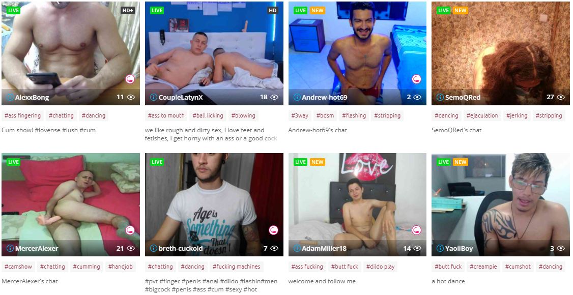 bongacams gay